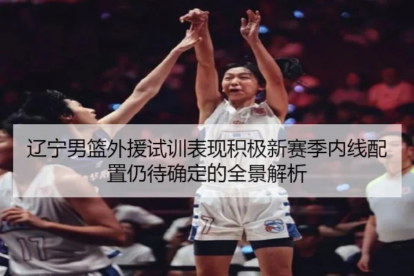 辽宁男篮外援试训表现积极新赛季内线配置仍待确定的全景解析